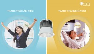 158398f2077cf922a06d 600x345